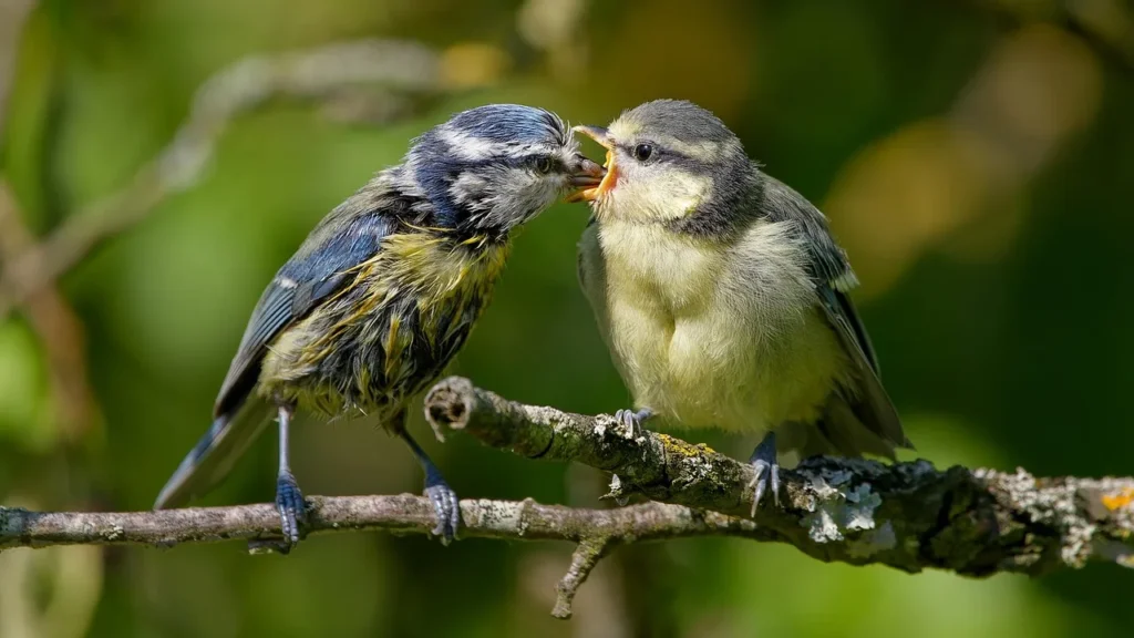 Guide pour une alimentation saine au quotidien