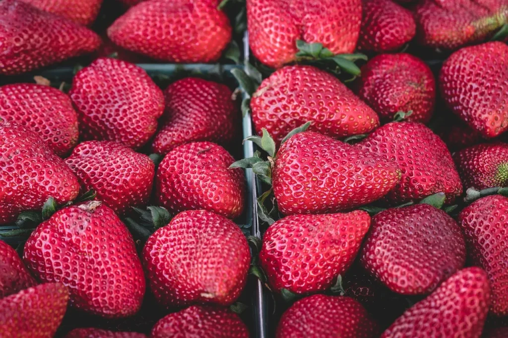 L'alimentation vitalité : comparatif des approches saines