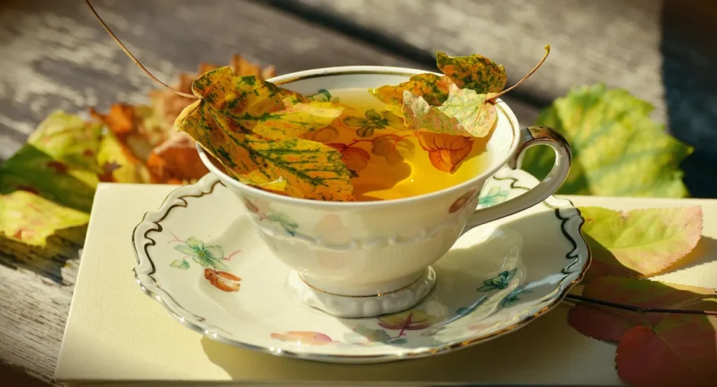 Tavimbu infusion pour un réveil apaisé et sans caféine